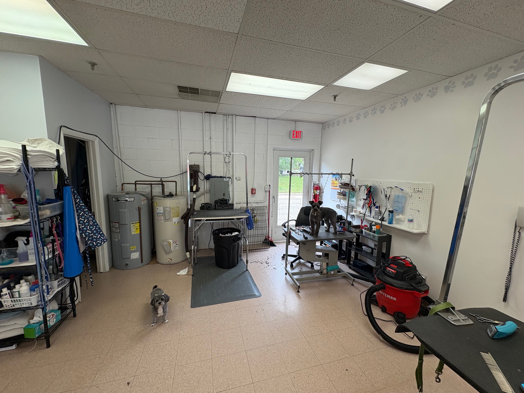Grooming station with pet being groomed