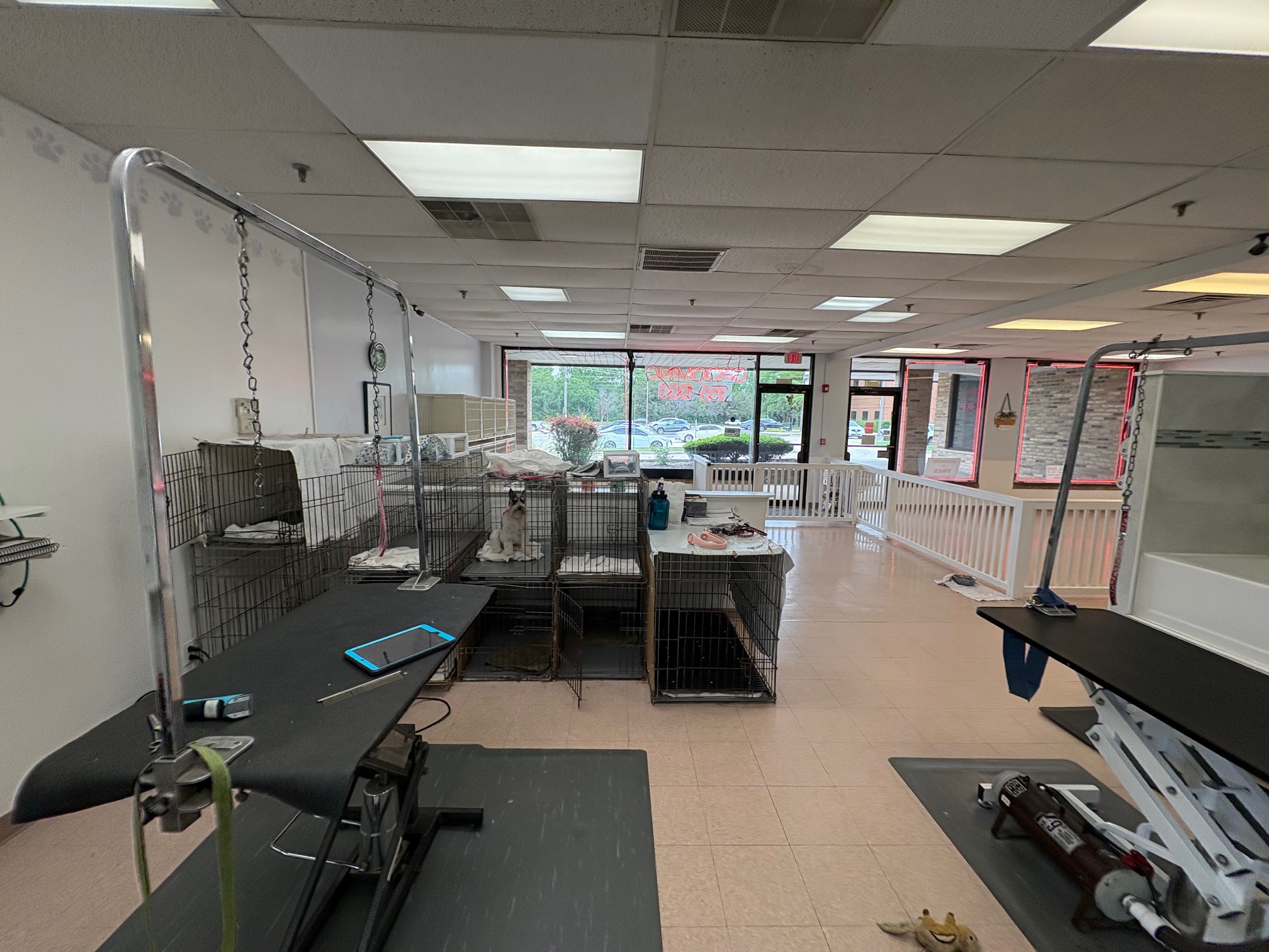 Professional grooming station setup